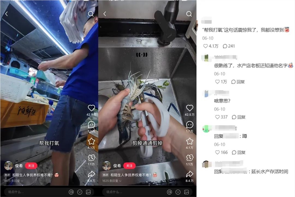 10后小孩做饭Vlog爆火百万揭秘流量密码插图2