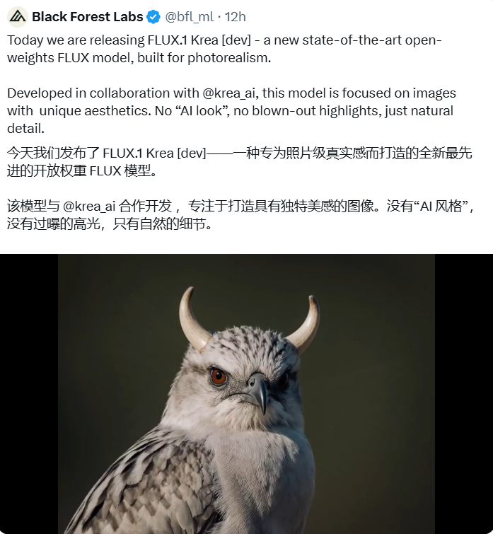 告别AI痕迹 FLUX.1-Krea开源模型重塑自然图像美学插图