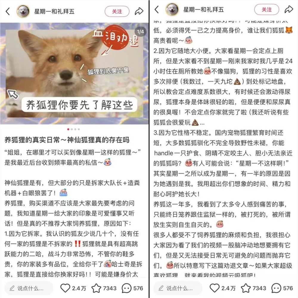 异宠经济崛起 年轻人狂热追捧百亿市场插图6