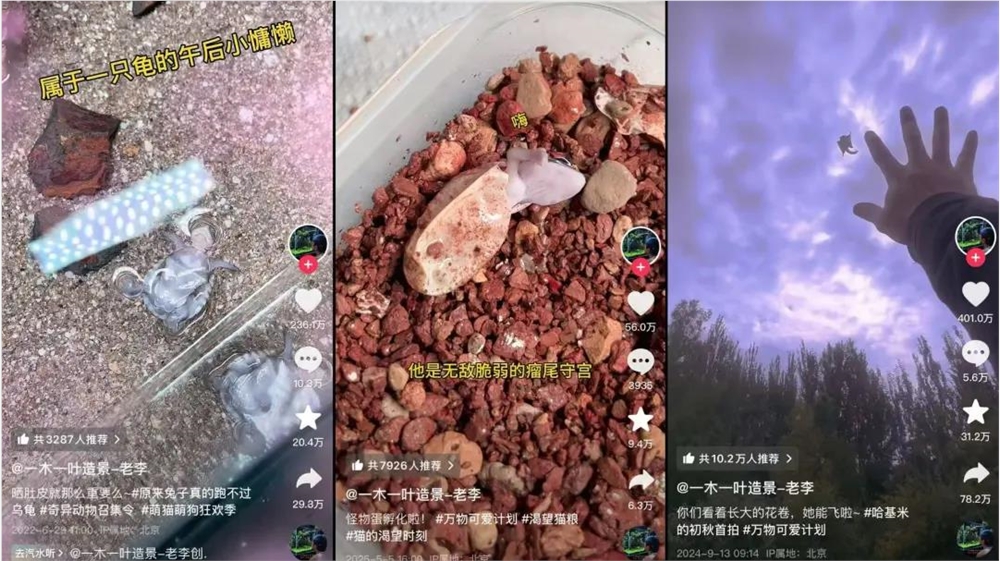 异宠经济崛起 年轻人狂热追捧百亿市场插图4