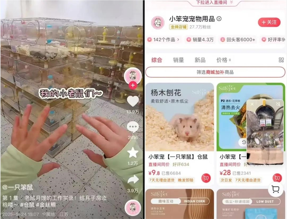 异宠经济崛起 年轻人狂热追捧百亿市场插图8
