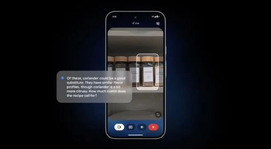 谷歌Pixel10首发AI情感识别功能 领先苹果两年布局智能手机未来插图2