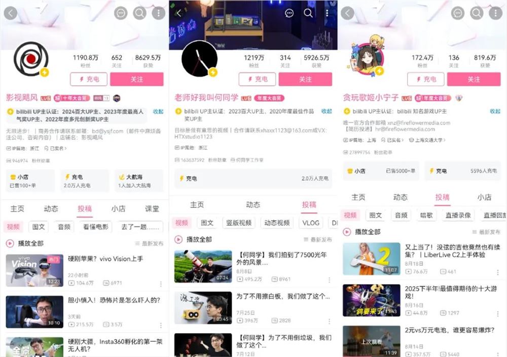 国内UP主难复制MrBeast成功之道插图1