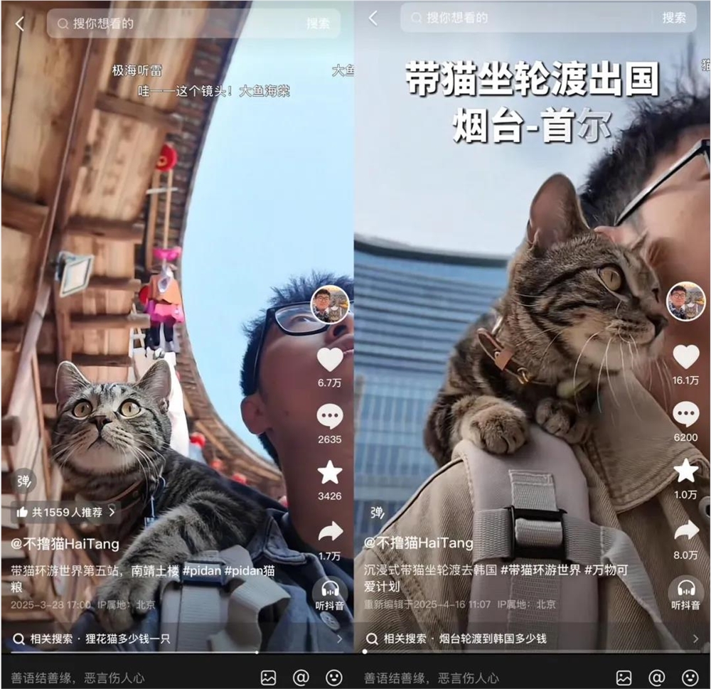 带猫环游世界的@不撸猫HaiTang 如何吸引1亿点赞？