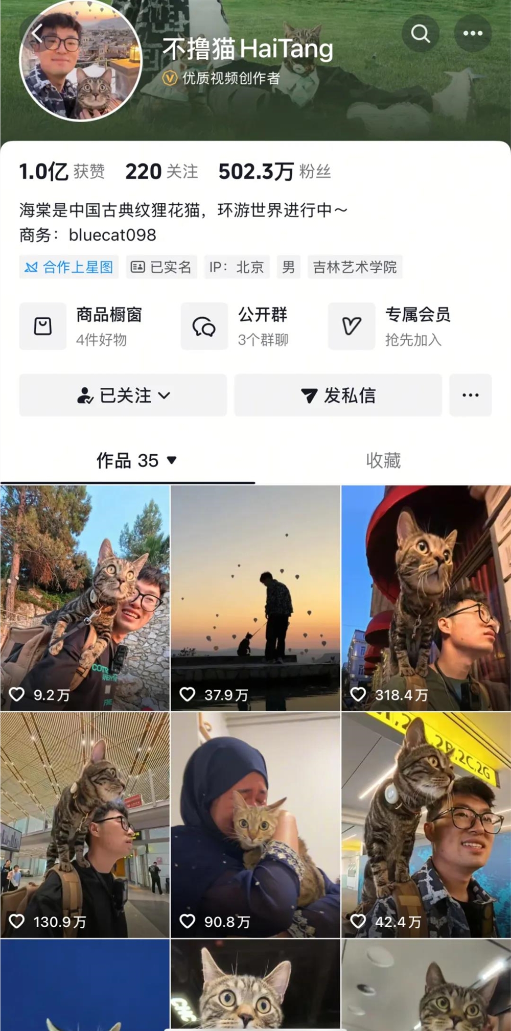 带猫环球旅行爆火1亿赞揭秘@不撸猫HaiTang成功秘诀插图