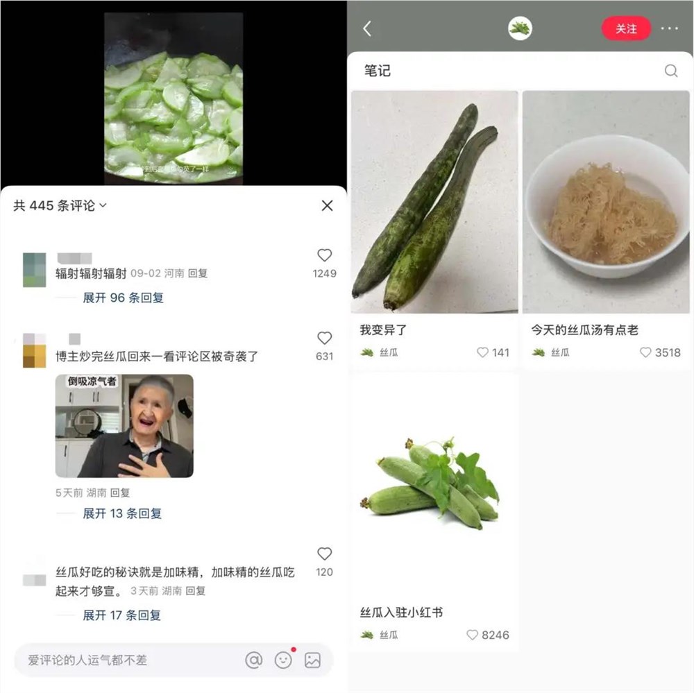 全网爆火!超3亿人围观“丝瓜汤”梗的爆笑真相插图3 全网爆火!超3亿人围观“丝瓜汤”梗的爆笑真相插图3