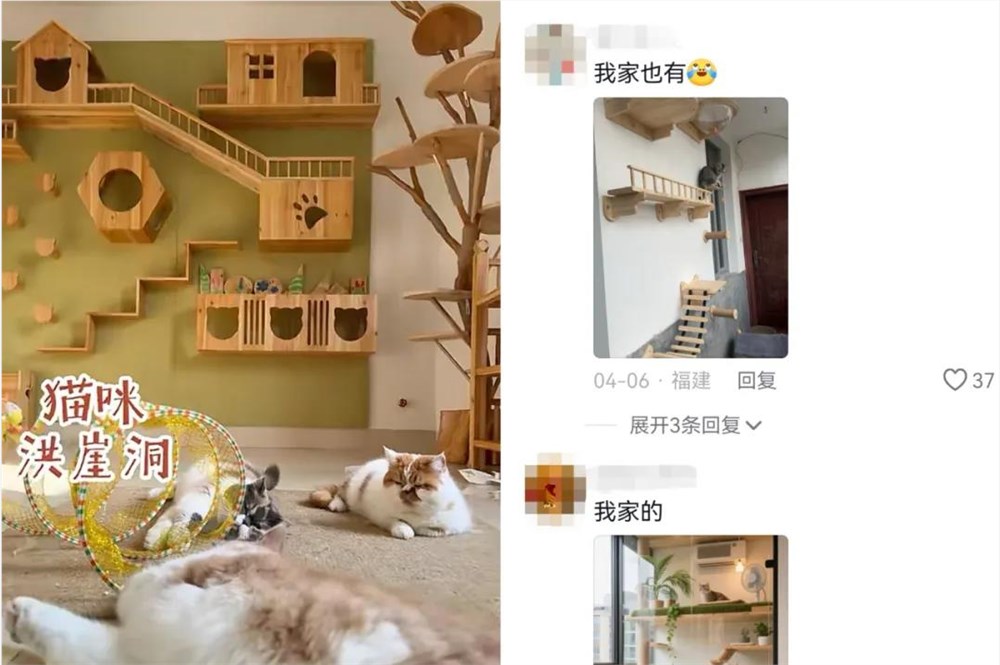 手工猫屋爆火获赞2000万 90后匠人打造喵星人的豪宅宇宙插图2 手工猫屋爆火获赞2000万 90后匠人打造喵星人的豪宅宇宙插图2