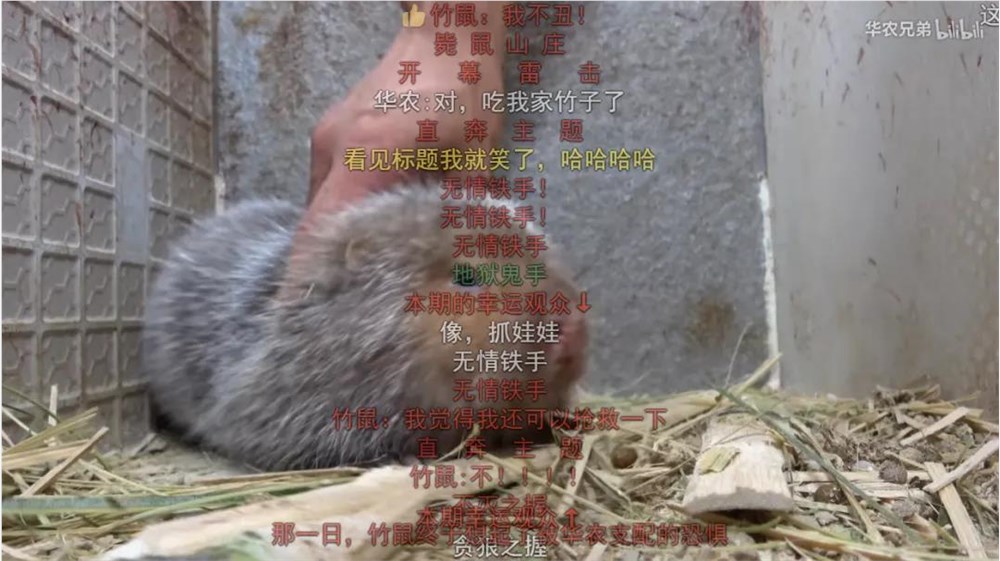 新农人诗意田园:短视频平台助力乡村内容升级插图 新农人诗意田园:短视频平台助力乡村内容升级插图