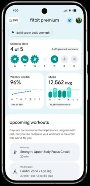Fitbit Gemini健康教练明日上线:AI私人健身睡眠顾问来了插图2 Fitbit Gemini健康教练明日上线:AI私人健身睡眠顾问来了插图2
