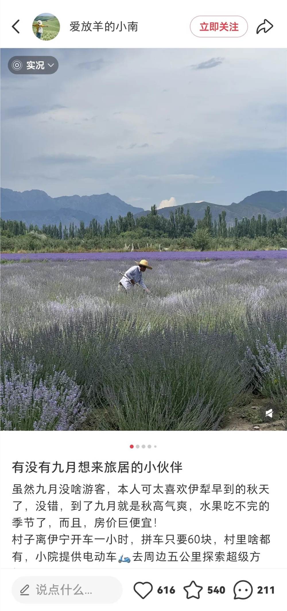 年轻人相机热潮：大疆富士出片神器成新宠插图