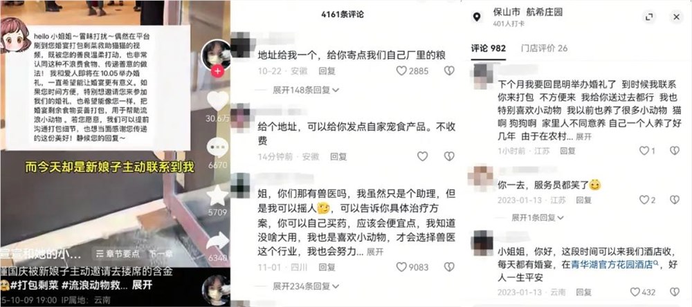 为了喂饱一百多只流浪猫，95后姑娘勇闯婚宴要剩菜