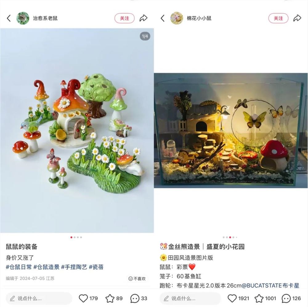 给鼠子“控糖”、造大别墅，这门爆火生意，有商家拿下多个TOP1