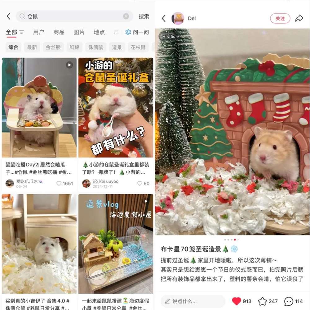 仓鼠控糖造别墅爆火生意商家拿下多个TOP1插图1 仓鼠控糖造别墅爆火生意商家拿下多个TOP1插图1