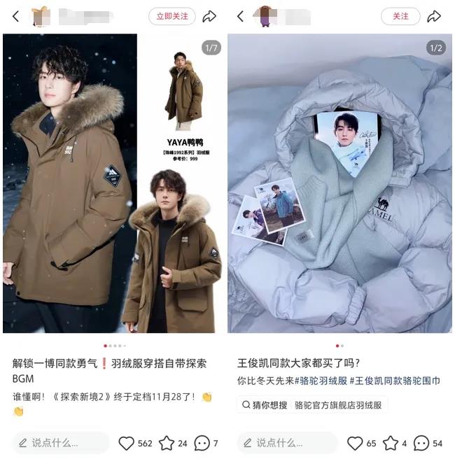 羽绒服高端化之路：争议背后的发展新趋势插图2