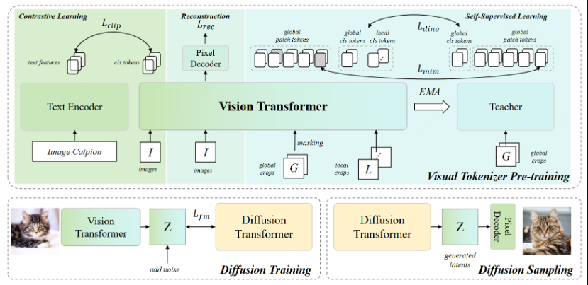 MiniMax与华中科大开源VTP技术 显著提升DiT视觉生成性能插图2