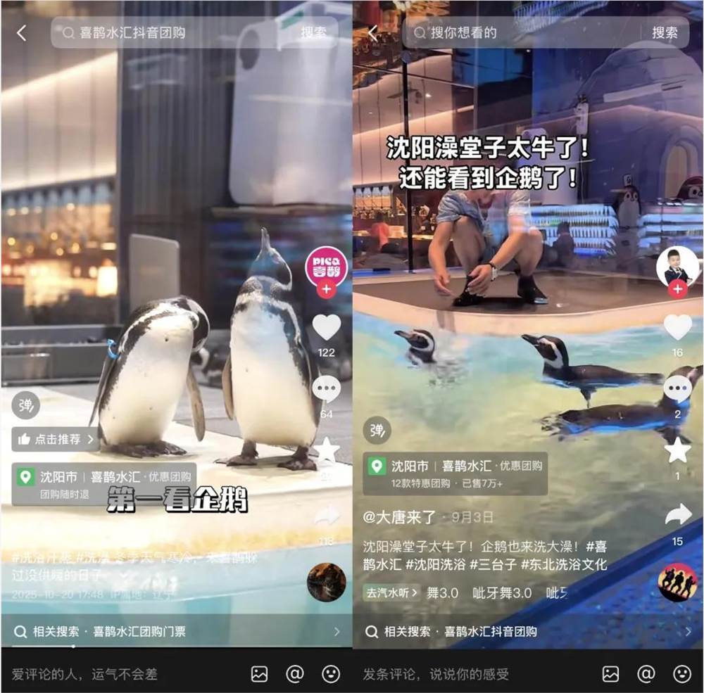 洗浴升级为情绪目的地 喜鹊水汇抖音破圈引流新思路插图1