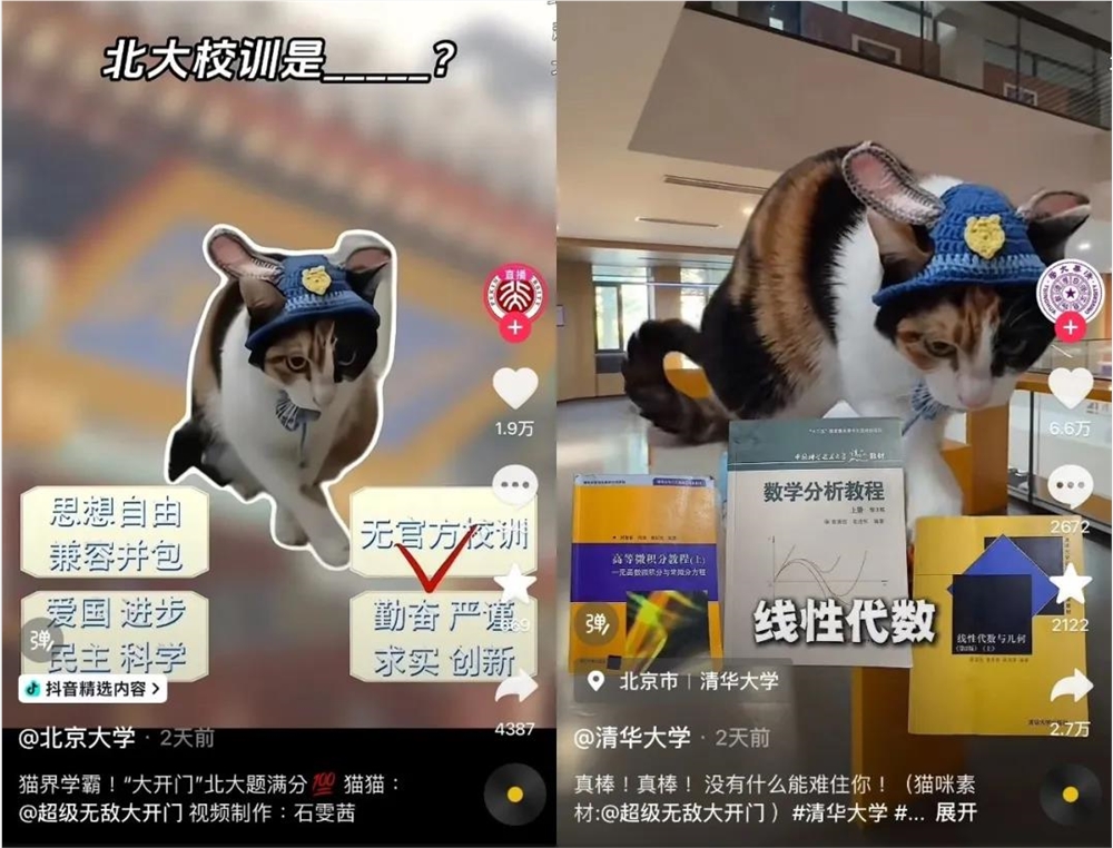 2025年最火爆梗揭秘 萝卜纸巾猫真棒背后故事插图6 2025年最火爆梗揭秘 萝卜纸巾猫真棒背后故事插图6