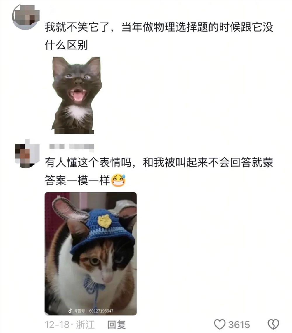 一只不会答题只会蒙的“笨猫”，凭什么承包全网笑点？
