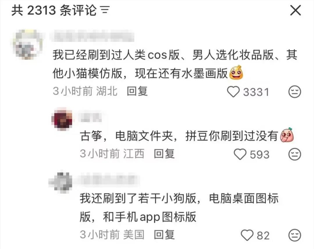 2025年最火爆梗揭秘 萝卜纸巾猫真棒背后故事插图5 2025年最火爆梗揭秘 萝卜纸巾猫真棒背后故事插图5