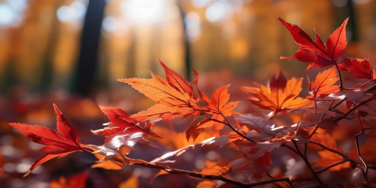 华为nova 15 Ultra双红枫影像系统首发 准出片体验惊艳