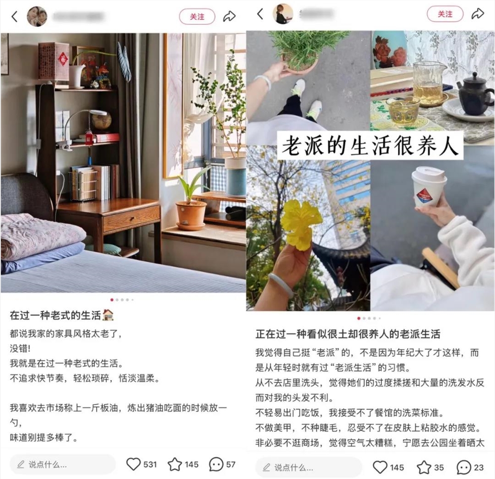小红书老式人类新潮风：慢生活成年轻人时尚选择插图4