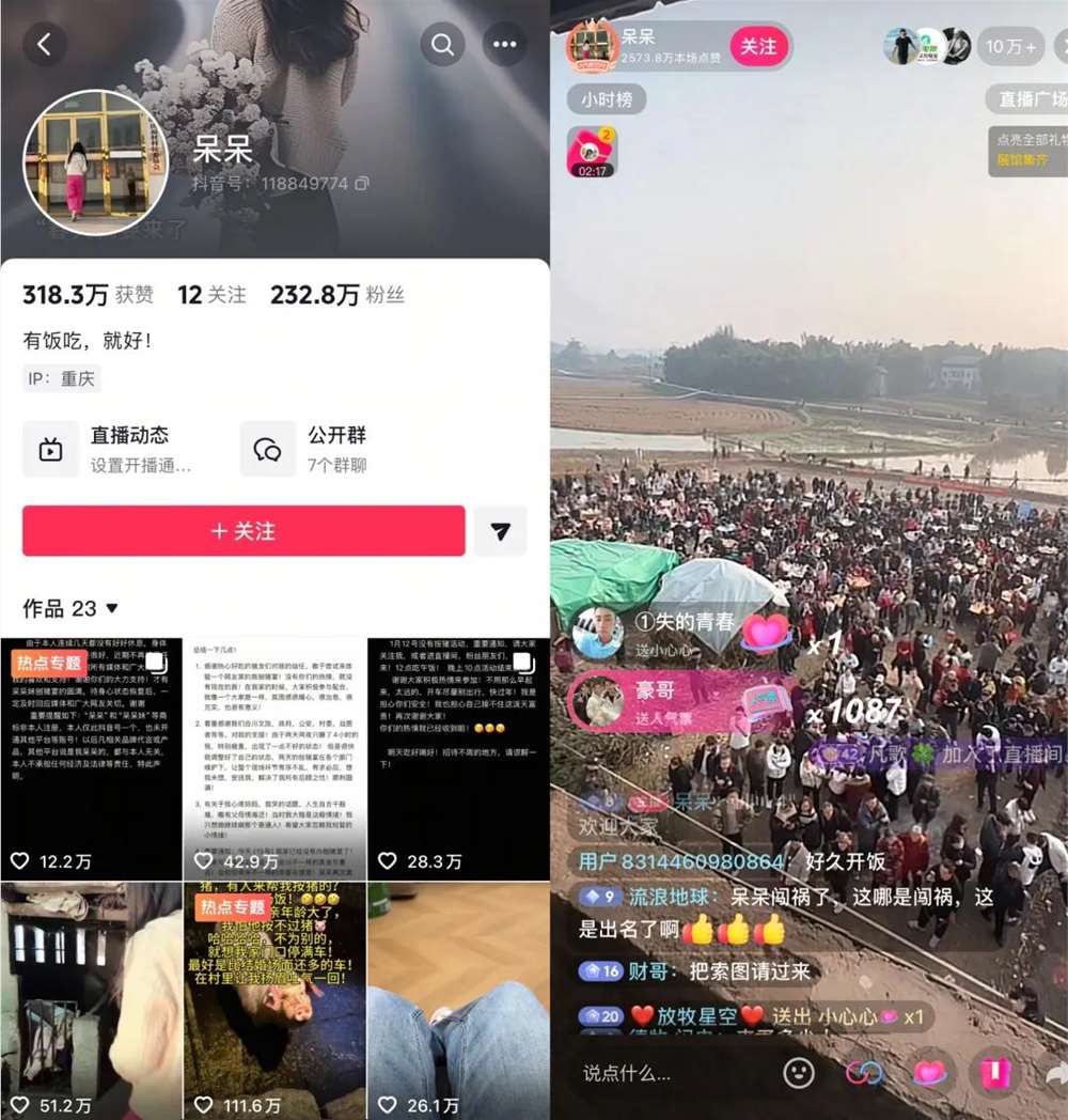 呆呆带火合川千人按猪：流量狂欢背后的福祸启示插图3