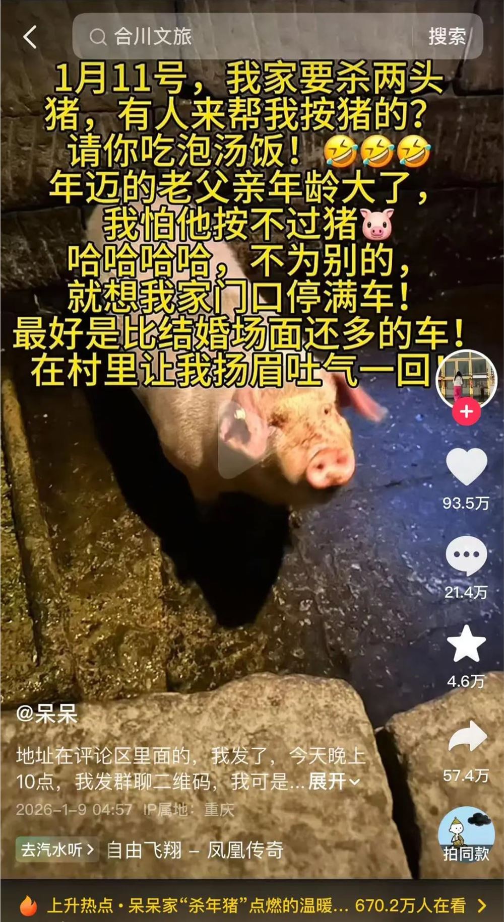 呆呆带火合川千人按猪：流量狂欢背后的福祸启示插图1