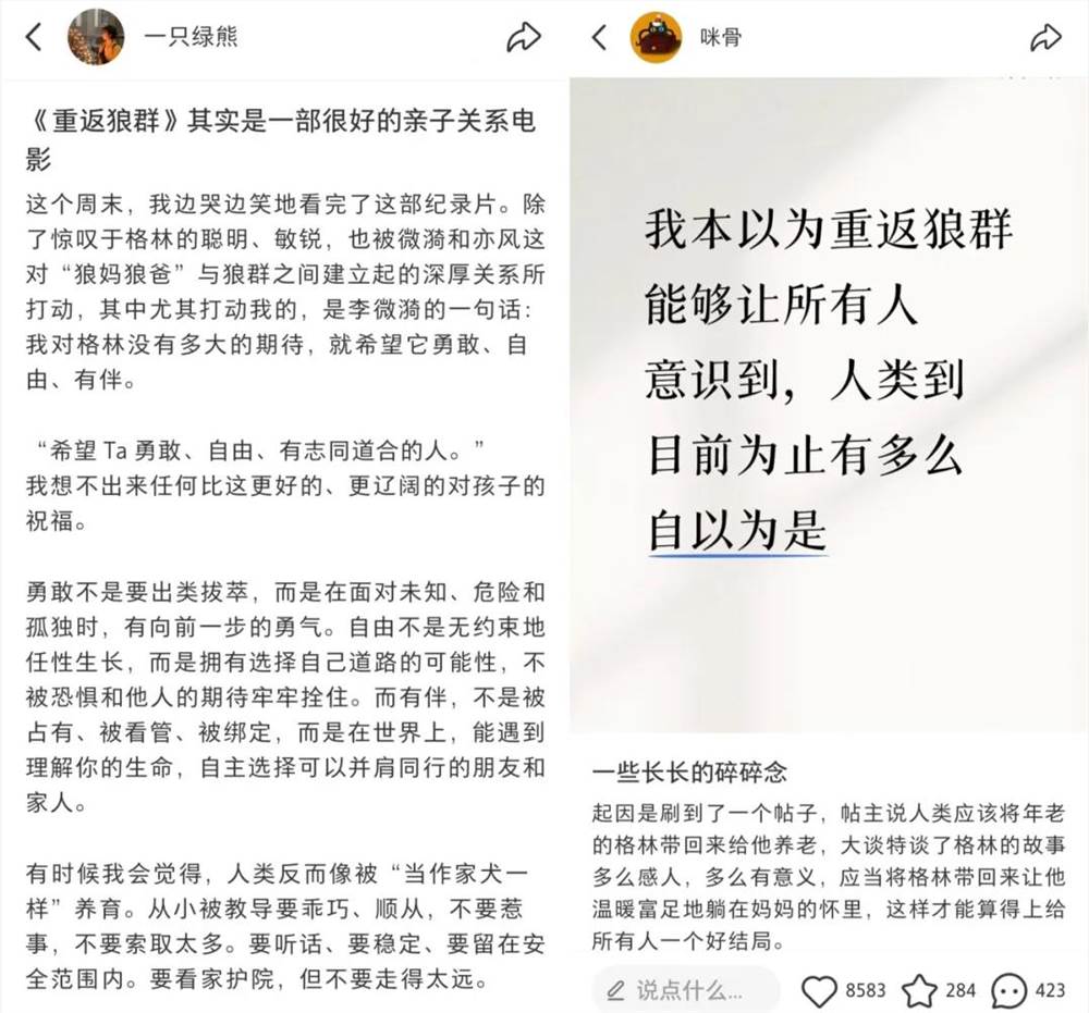 一部2017年的纪录片，在社交媒体全面翻红