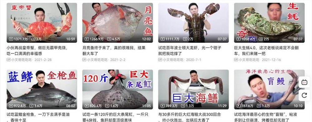 野兽先生撒钱吸粉策略揭秘插图3