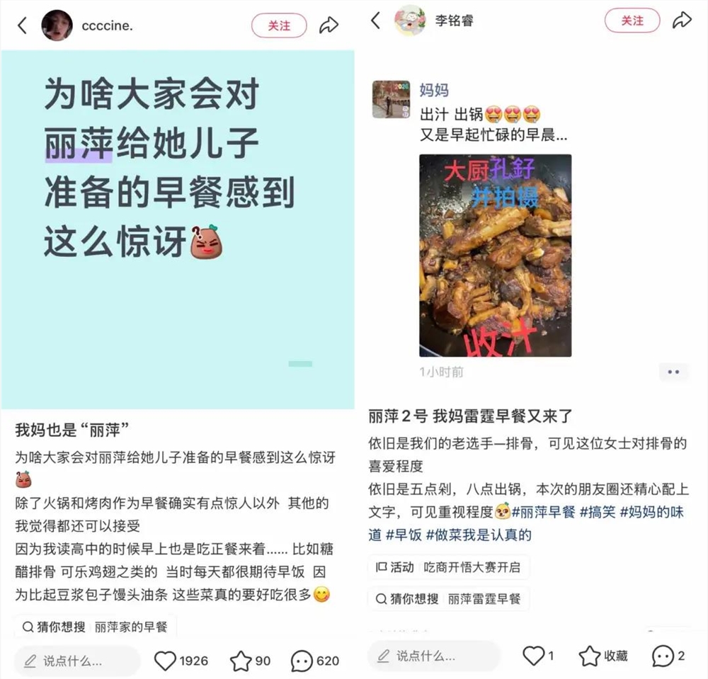 全网播放量超9亿，丽萍的“胡闹厨房”如何吸引百万网友追更？