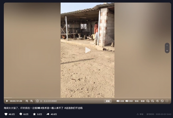 女孩喂大鹅遭袭击：当场霸气还击