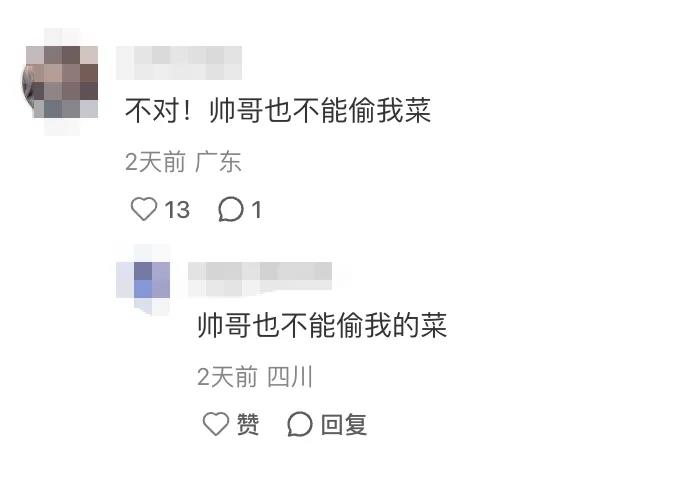 17年后蔡明与QQ经典农场联动引爆春节回忆杀插图4