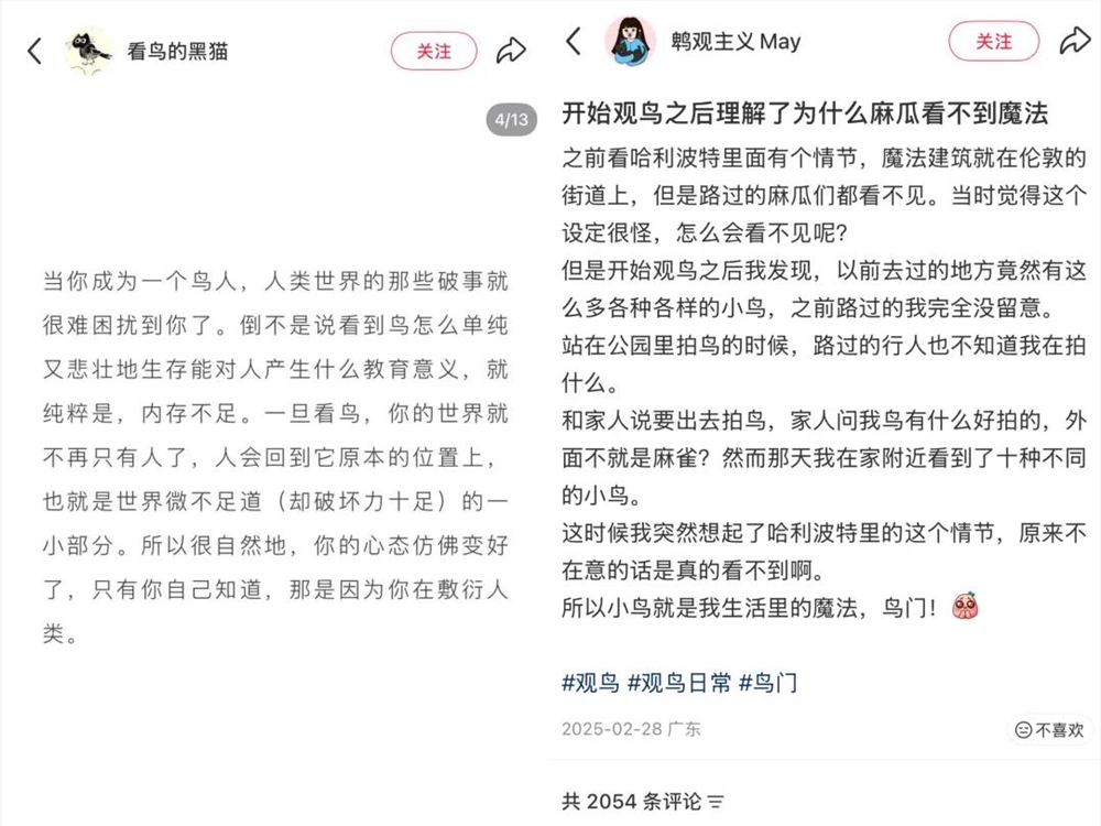 年轻人如何用手机开启观鸟之旅，打造属于自己的鸟门生态插图5