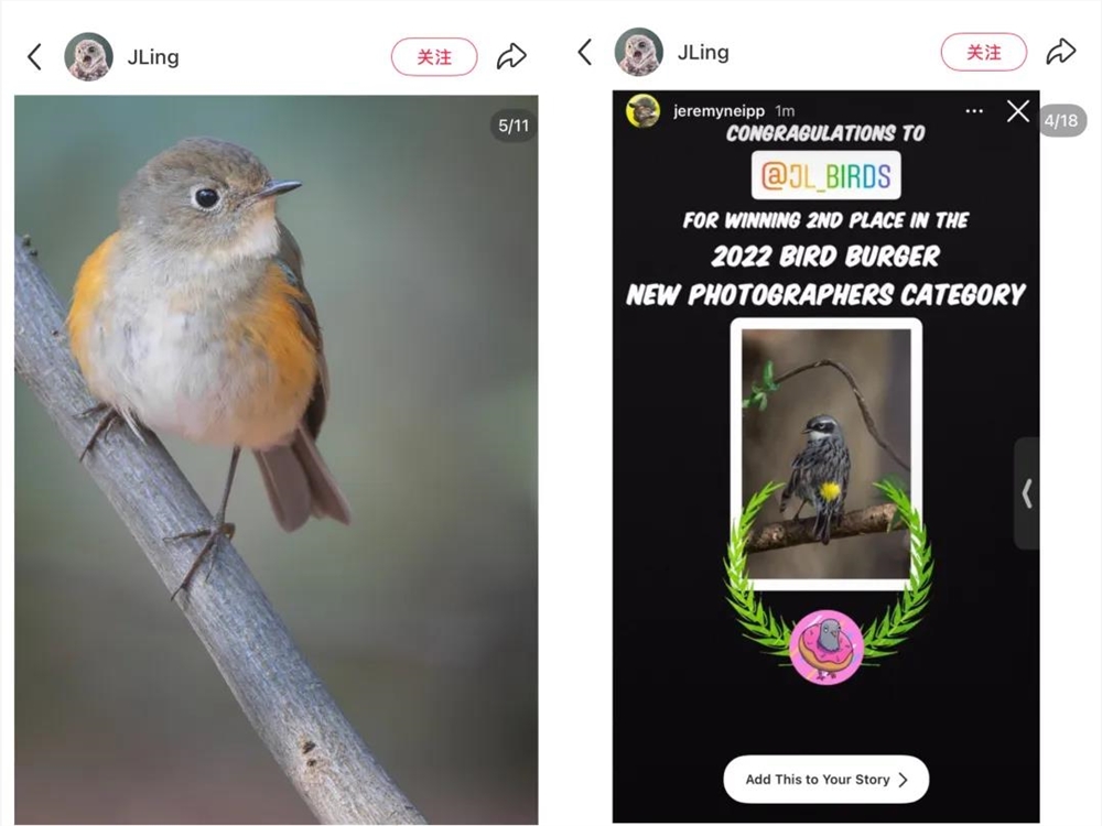 年轻人如何用手机开启观鸟之旅，打造属于自己的鸟门生态插图1