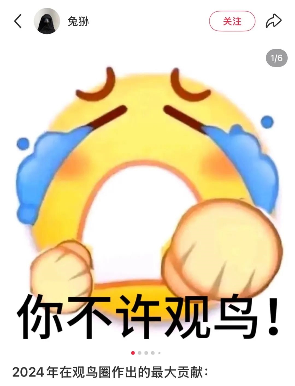 年轻人如何用手机开启观鸟之旅，打造属于自己的鸟门生态插图2