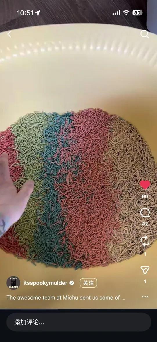 澳洲华人6年打造环保高颜值猫砂品牌michu,抢占美澳市场插图1 澳洲华人6年打造环保高颜值猫砂品牌michu,抢占美澳市场插图1