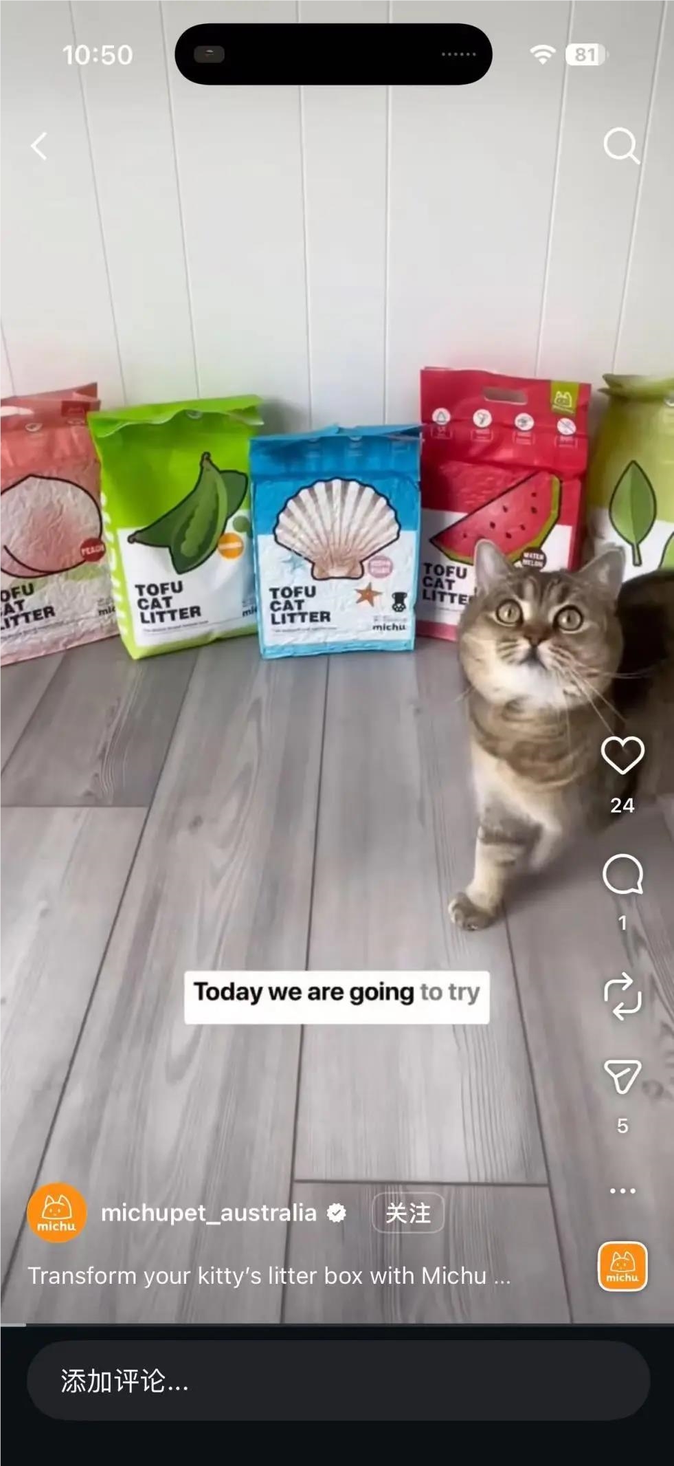 澳洲华人6年打造环保高颜值猫砂品牌michu,抢占美澳市场插图2 澳洲华人6年打造环保高颜值猫砂品牌michu,抢占美澳市场插图2