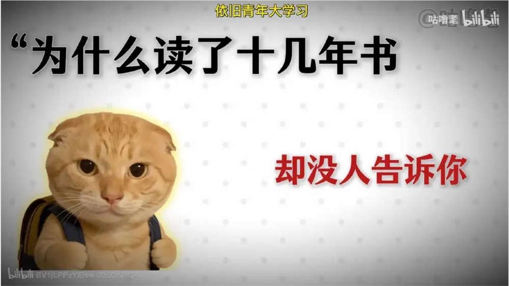 靠教人如何租房涨粉百万,“咕噜耄”成了“地球online教程”插图3 图片