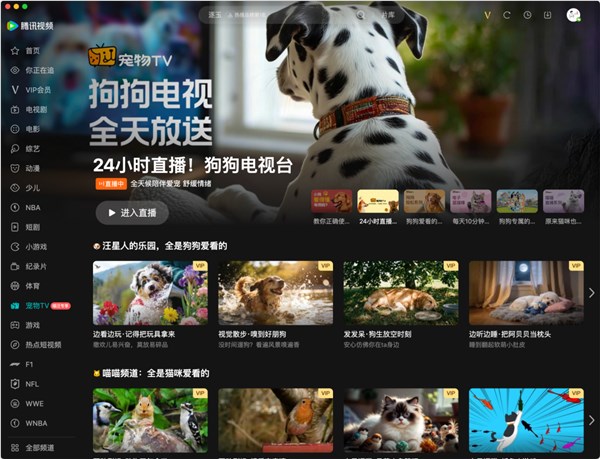 腾讯视频宠物TV上线：专给猫、狗看 缓解孤独拆家