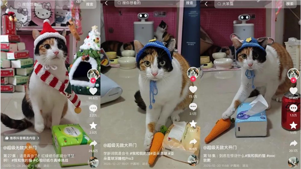 “萝卜纸巾猫”成广告界顶流 萌宠IP商业价值全面爆发插图2