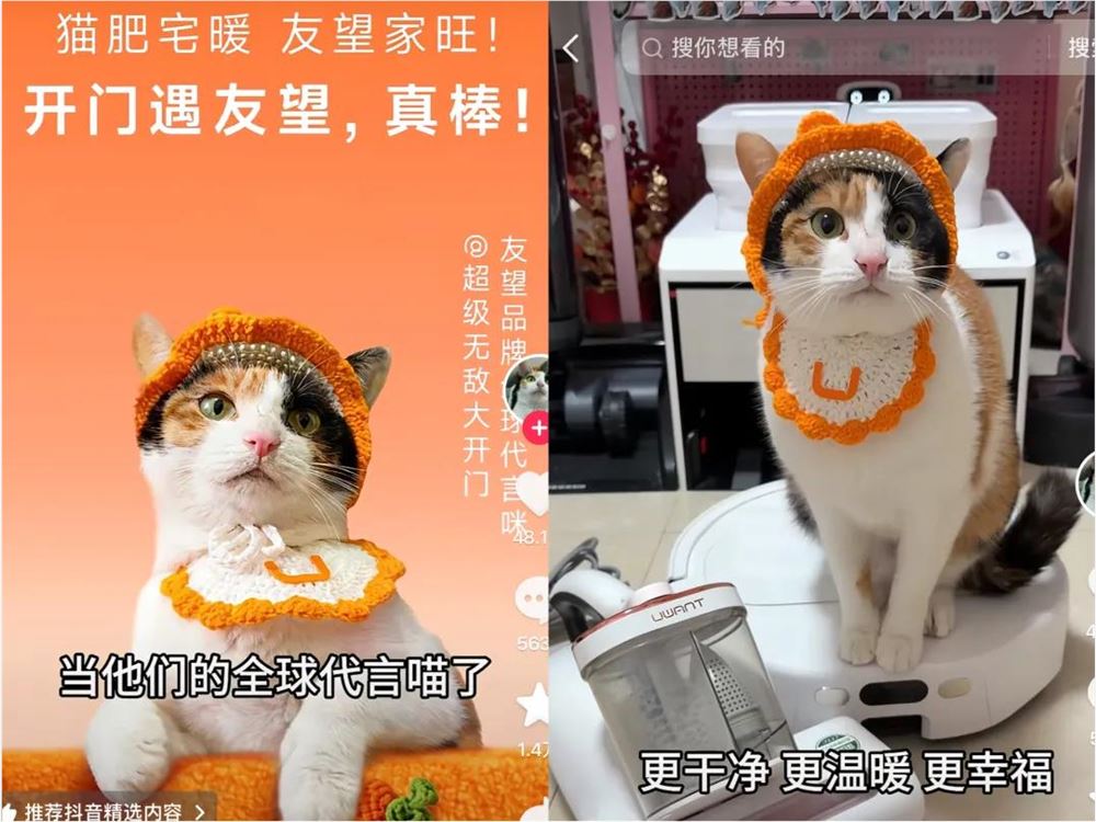 “萝卜纸巾猫”成广告界顶流 萌宠IP商业价值全面爆发插图1