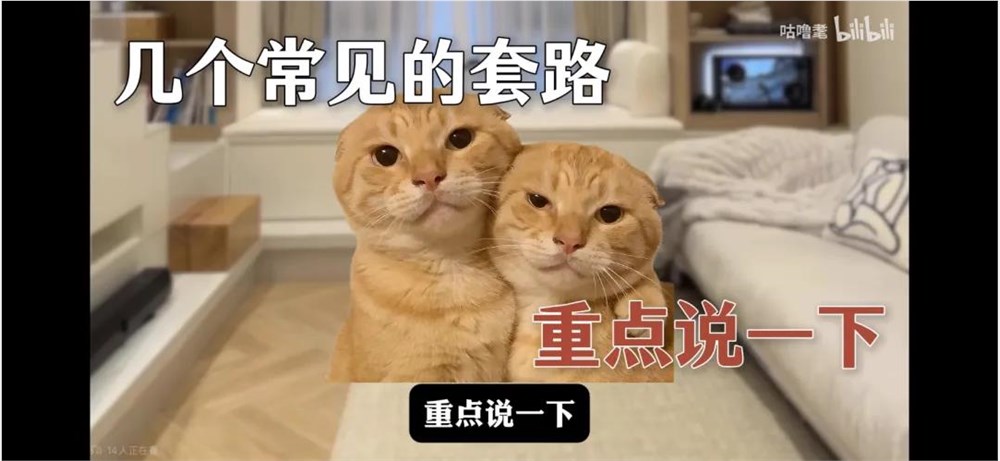 B站涨粉黑马“咕噜耄”揭秘实用生活常识爆火背后原因插图1