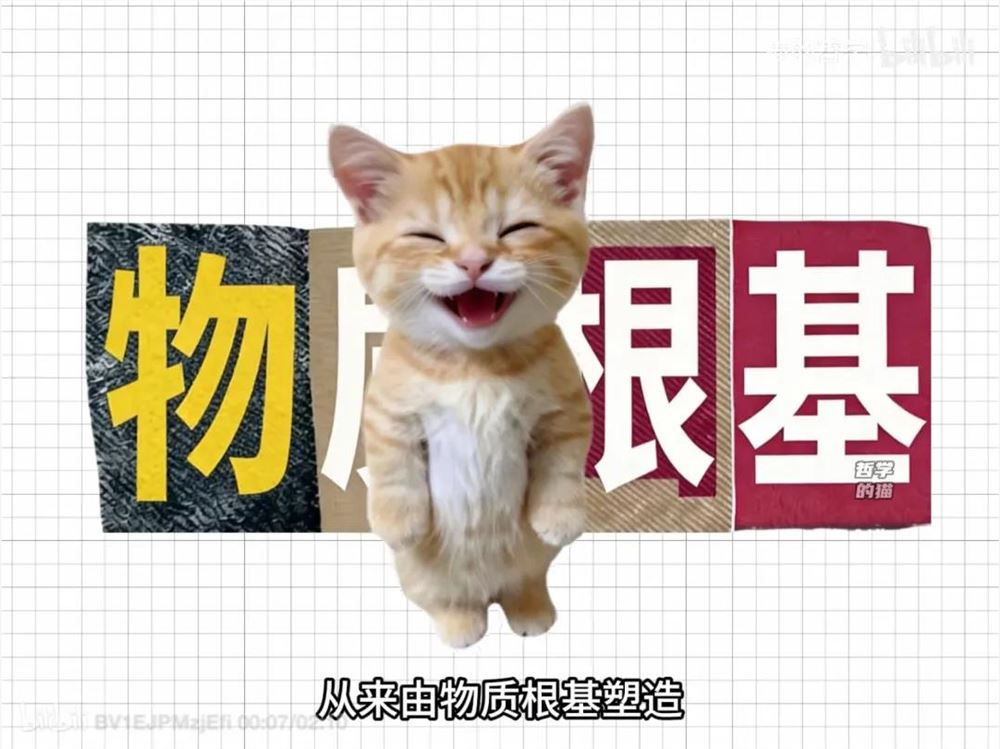 10天涨粉百万，B站出现新人流量王