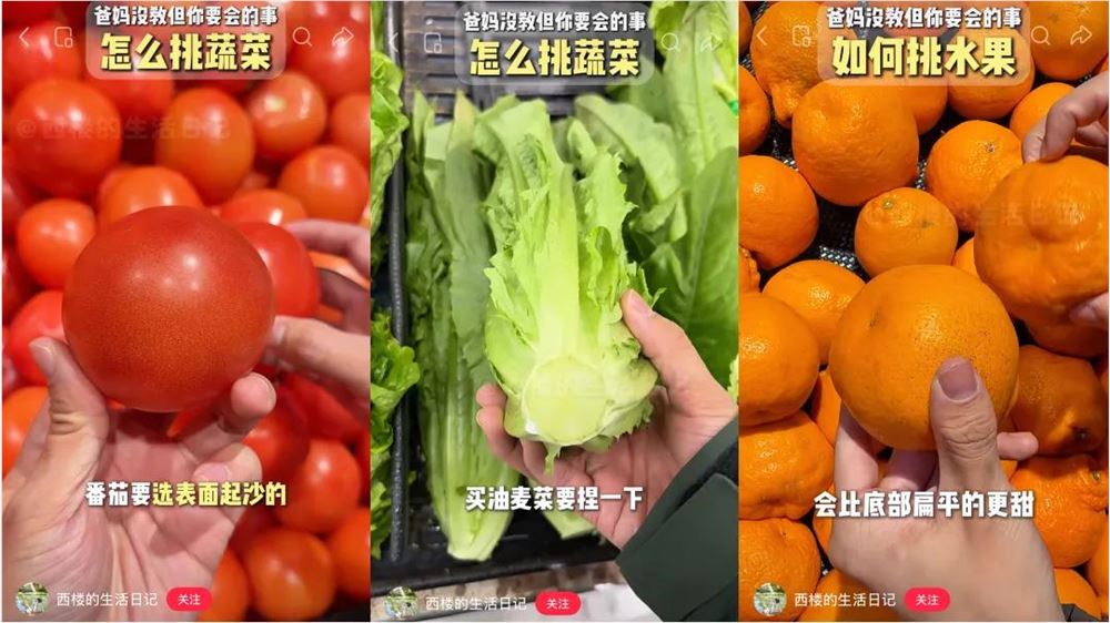 10天涨粉百万B站新人UP主用猫meme科普引爆知识区流量插图3