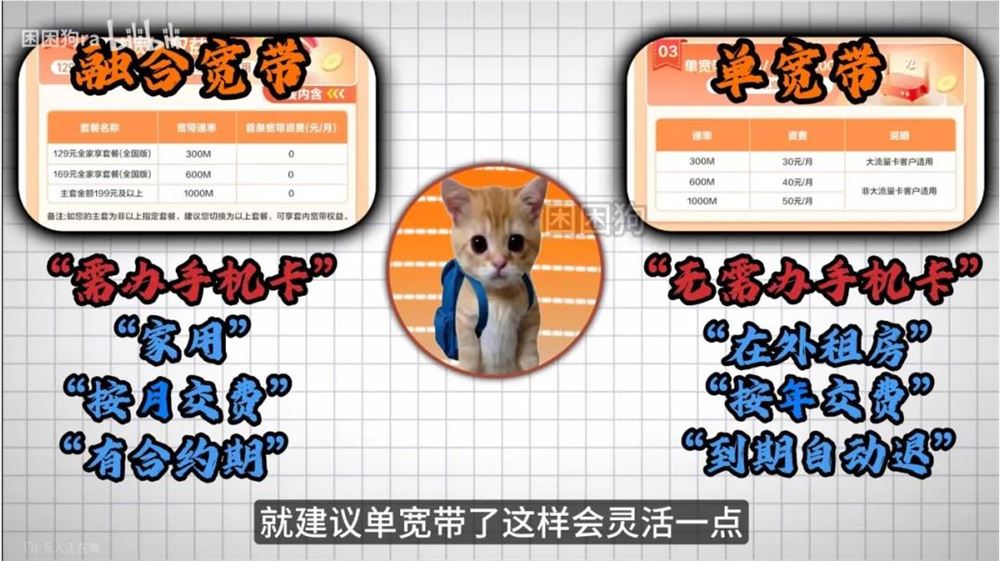 10天涨粉百万B站新人UP主用猫meme科普引爆知识区流量插图4