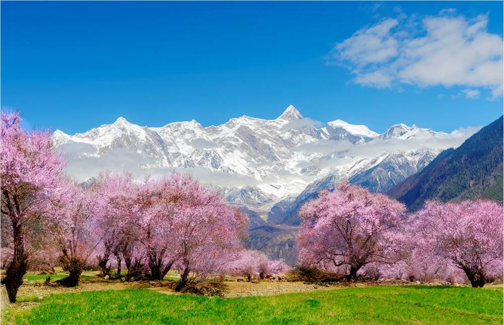 万达生活方式品牌2026首季全国布局加速拓展20+项目覆盖十余省区插图2