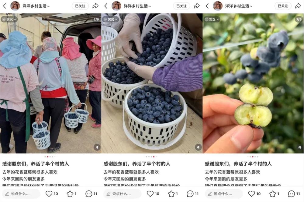 从随手拍到年销5100万,返乡夫妻如何用品质在小红书爆单插图3 从随手拍到年销5100万,返乡夫妻如何用品质在小红书爆单插图3