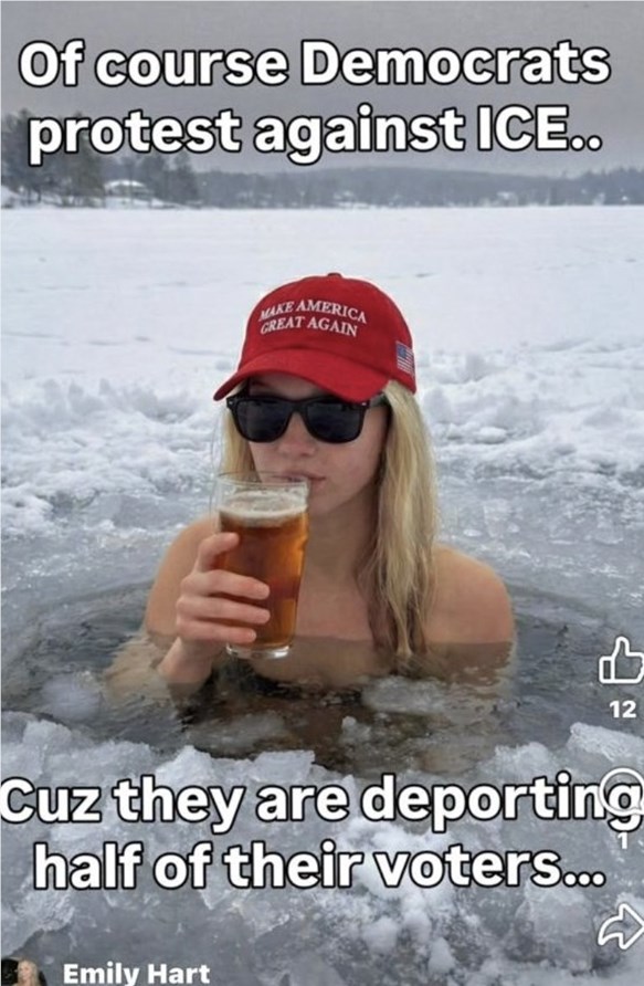 跨国网恋竟是AI骗局：印度医学生打造虚拟网红收割百万粉丝