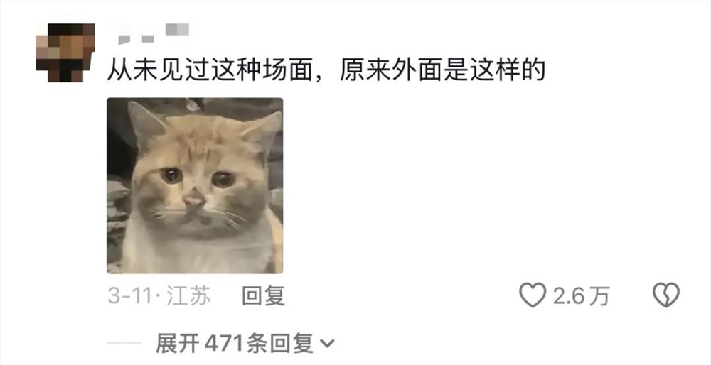 30天播放超9亿全男舞剧《叹春风》引爆女性情绪消费市场插图4