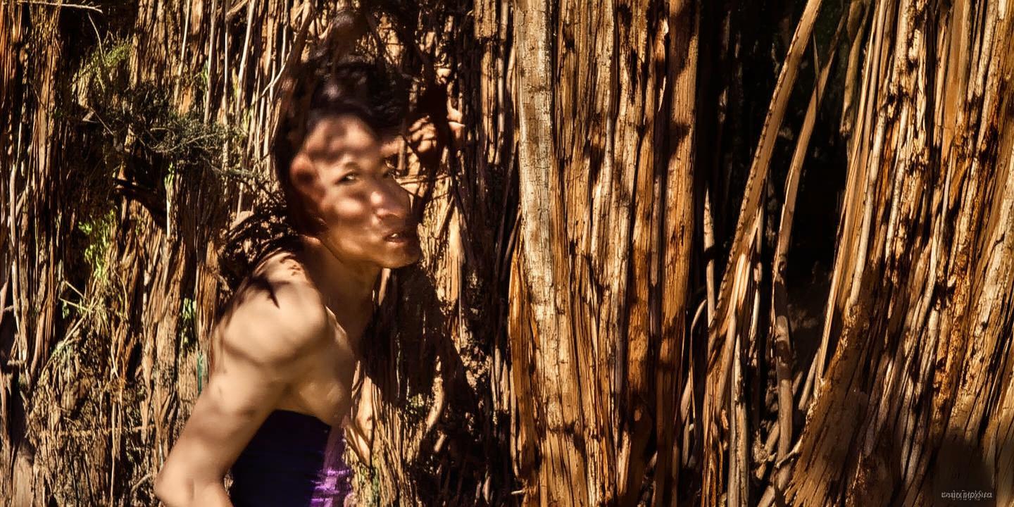 内蒙古5米牛肉串3米糖葫芦树 草原豪横美学引爆全网